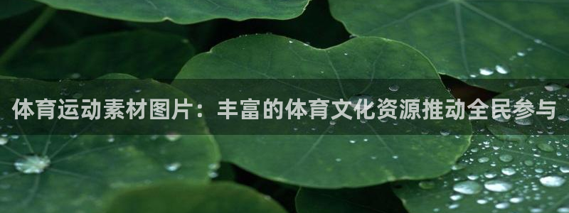 oety欧亿