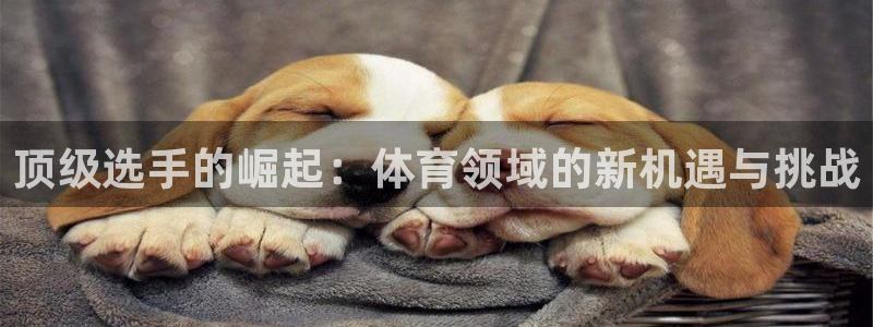 oety欧亿