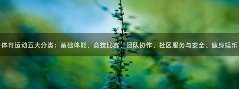 oety欧亿