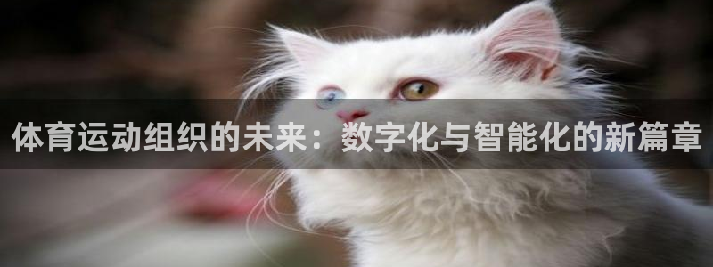oety欧亿