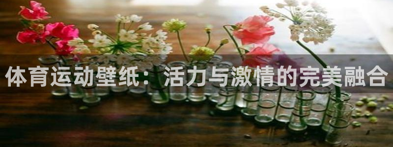 oety欧亿